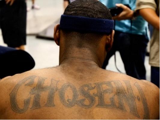 级后的自然 级后的自然