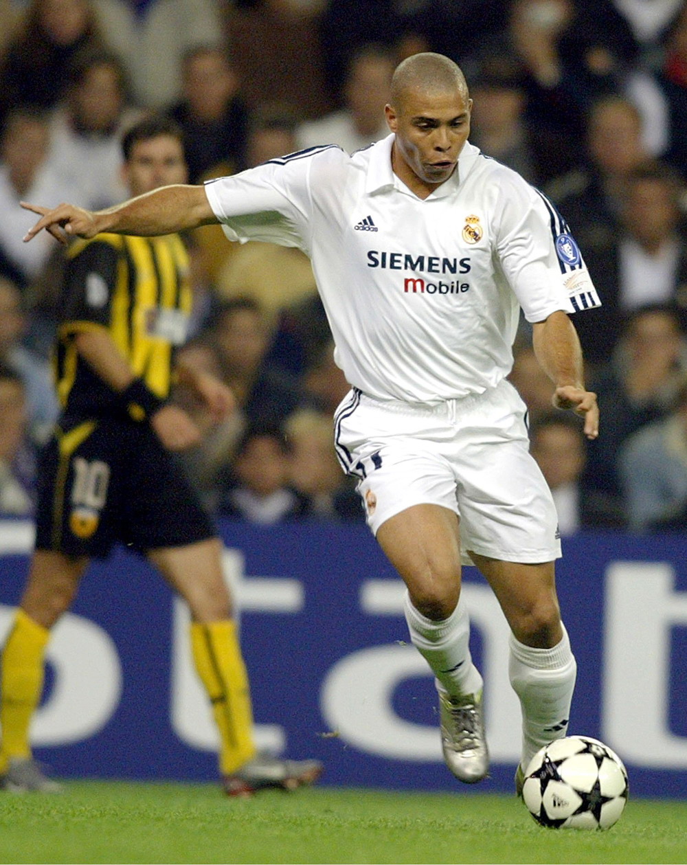 金玟哉从 金玟哉从